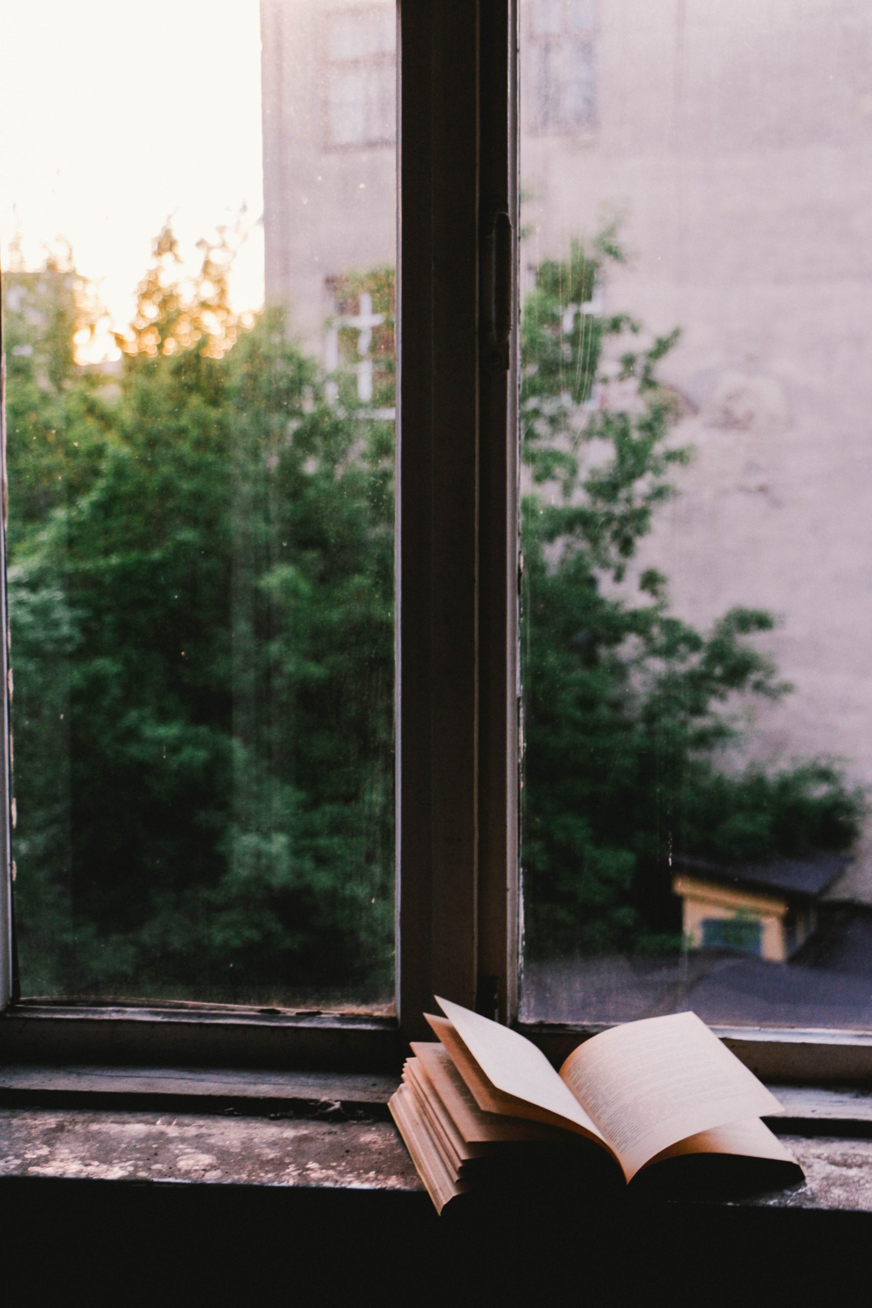 20 john-mark-smith-F_cHIM0Kcy4-unsplash